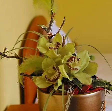 Ξενοδοχείο Cristal